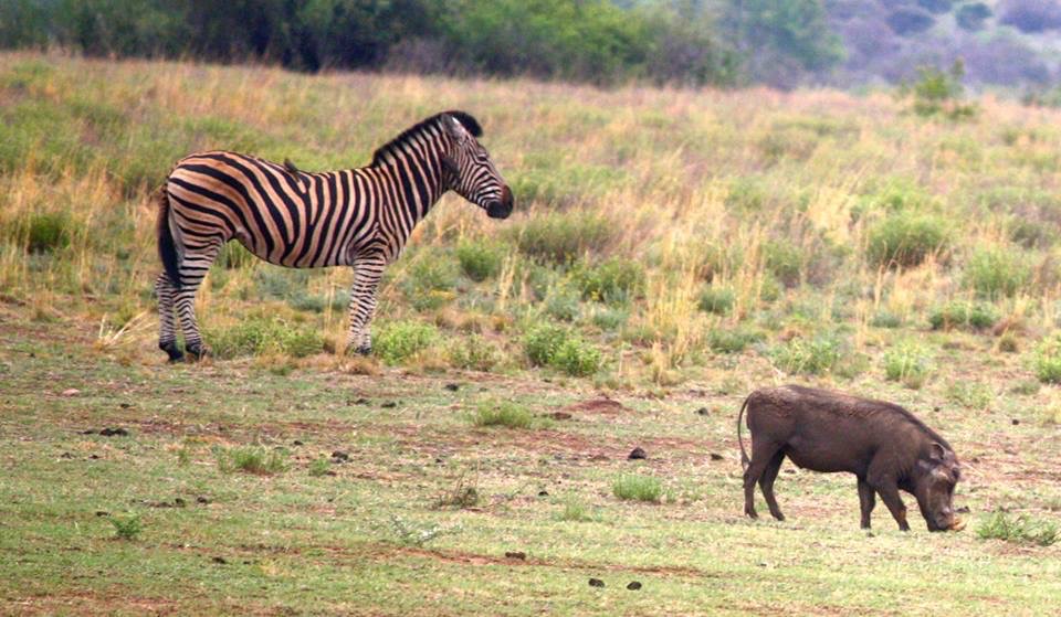 8 Best January Holiday Destinations! Defining Decade