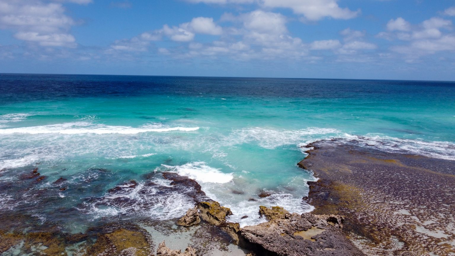 Is Kangaroo Island Worth Visiting? An Aussies Honest Opinion!