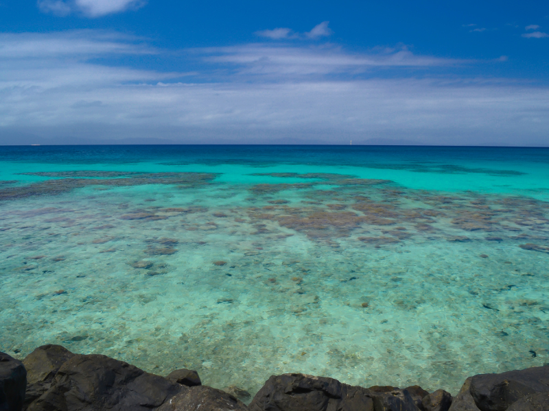 Vanuatu vs new caledonia travel guide