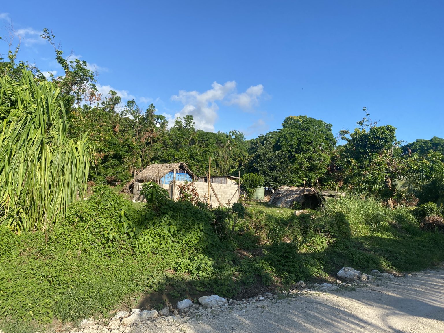 Vanuatu Vs New Caledonia A Guide To Choosing Where to Go