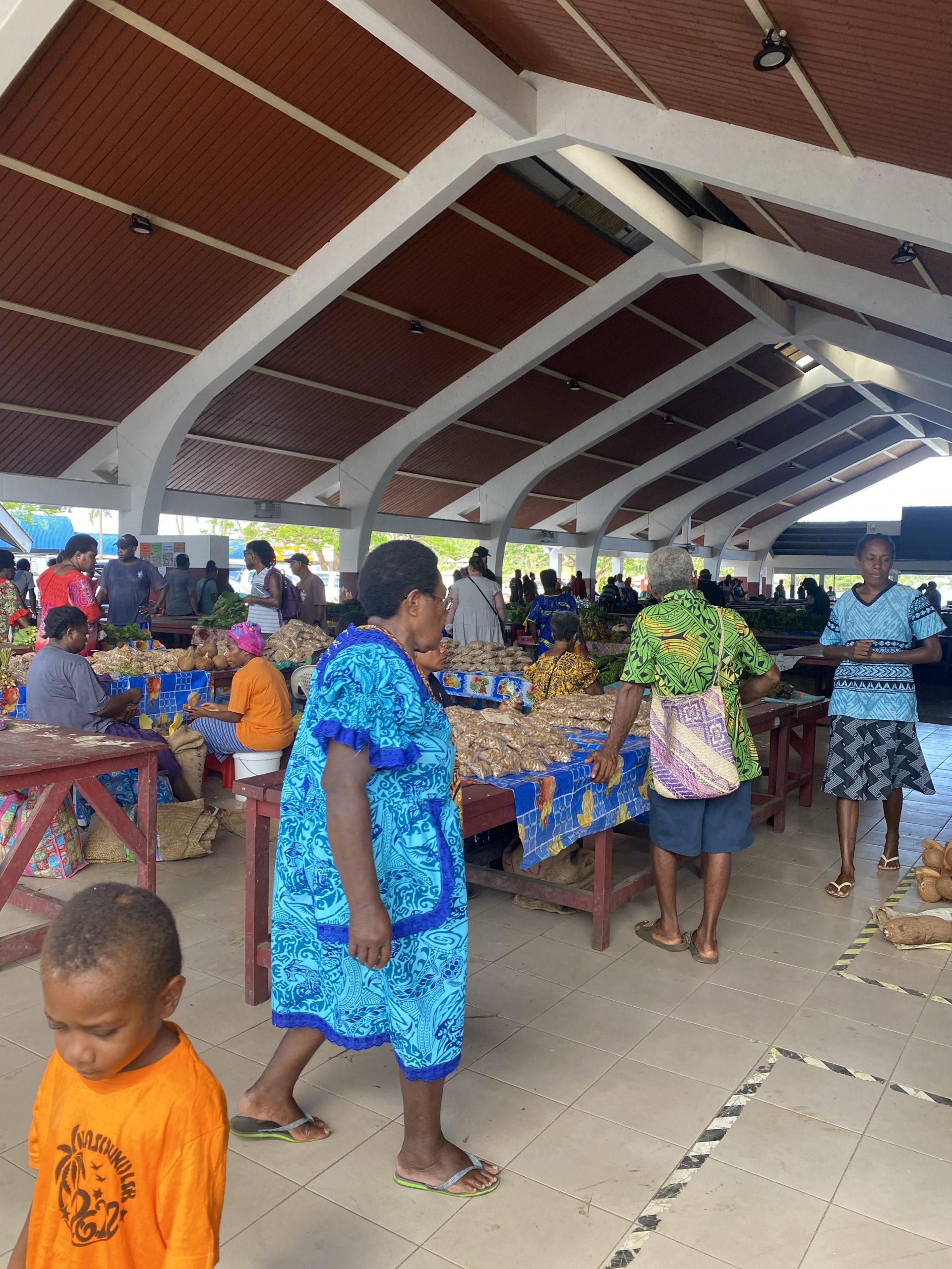 Ultimate Vanuatu Travel Guide 2024 - Everything You Need to Know