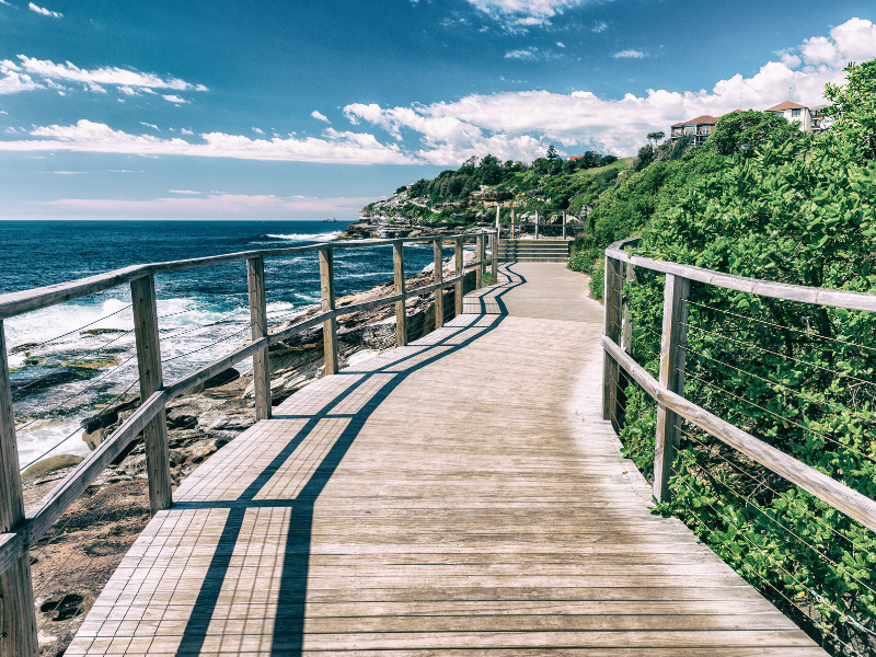 Sydney Coastal walk around Bondi is one of the best things to do in Sydney