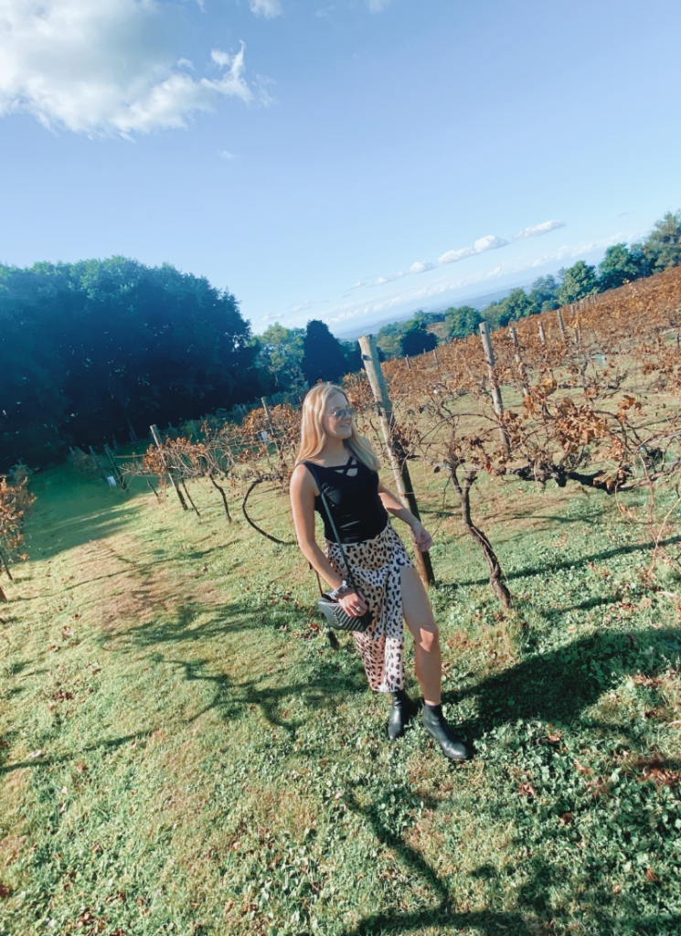 Walking around the vineyards on a Brisbane Wine Tour