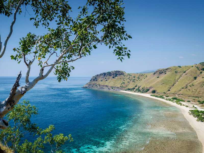 East Timor is an off the beaten path destination only a 50 minute flight from Bali making it one of the best countries near Bali to visit