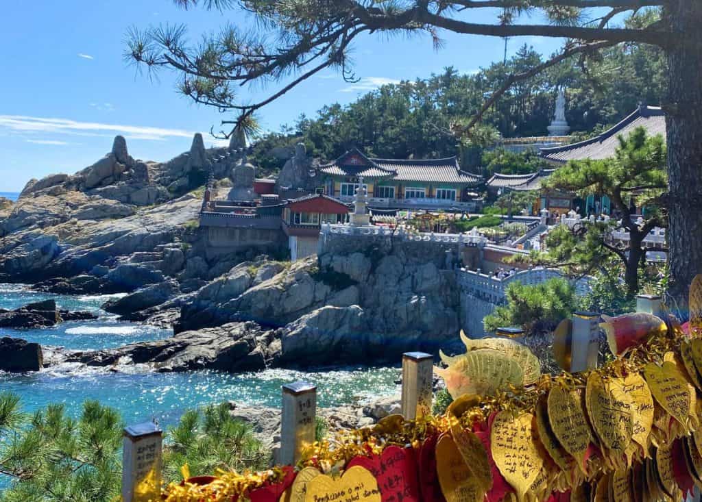 Haedong Yonggungsa Temple Busan is one of the best places to visit in winter