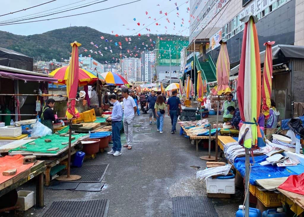 Jagalachi Fish Markets is one of the best things to do in Busan in winter